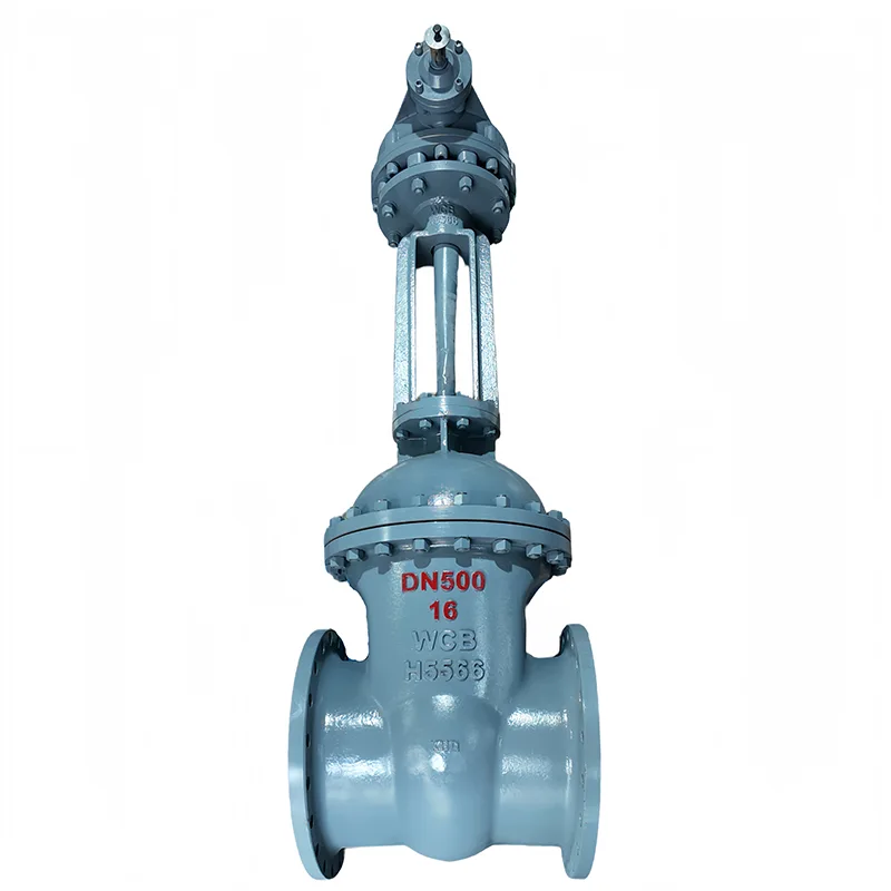 Carbon Steel National Standard Flange Port Valve
