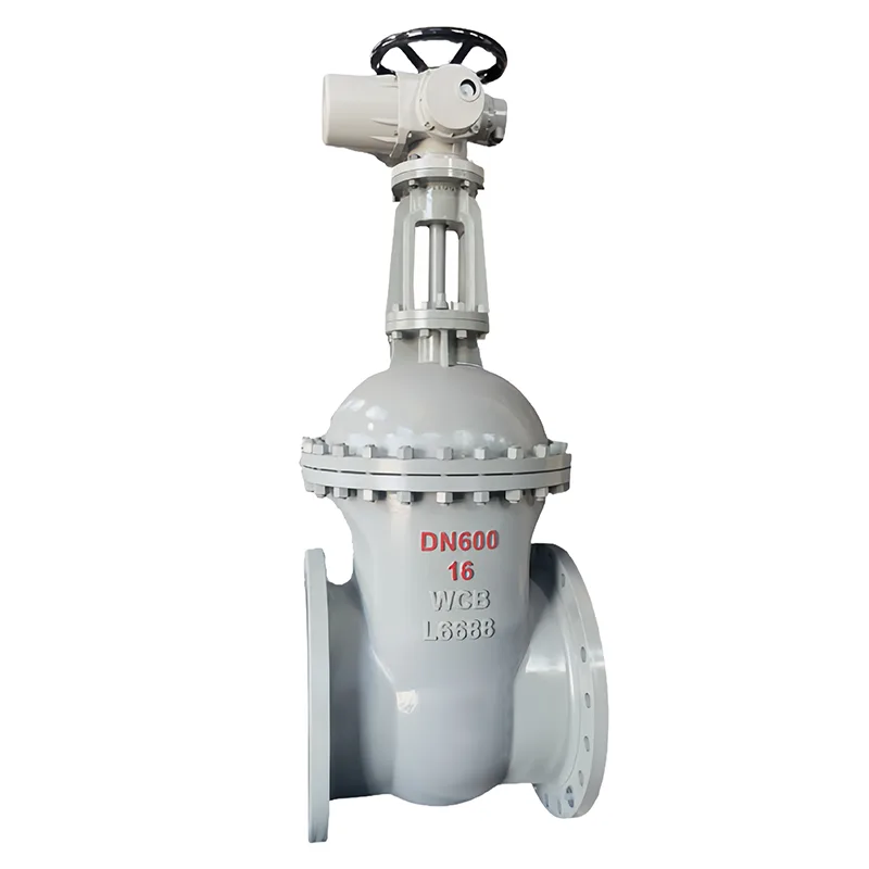 Carbon Steel National Standard Port Valve