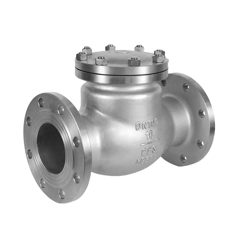 Stainless Steel GB Standard Check Valve