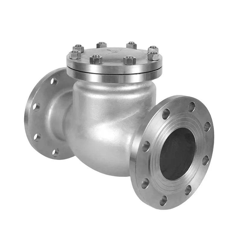 Stainless Steel GB Standard Check Valve